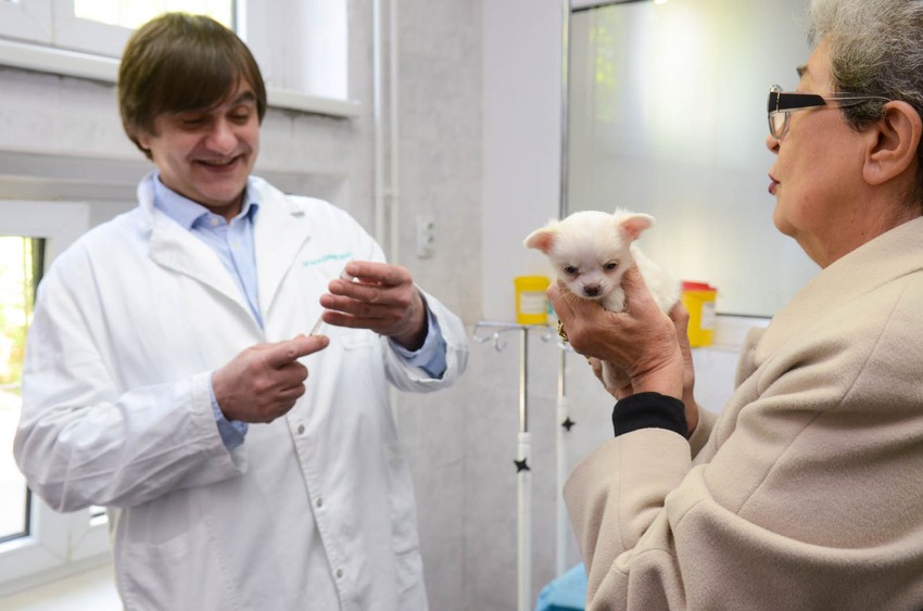 - Moramo biti odgovorni prema svojim ljubimcima! - savetuje doktor Magaš