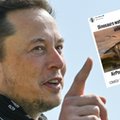 Elon Musk chce ograniczyć ryzyko zagłady ludzkości. Dinozaury ze słuchawkami jako przestroga