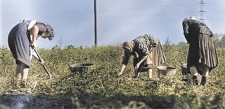 Cykle i rytmy dyktatury. „Życie codzienne kobiet w PRL” [KSIĄŻKA]