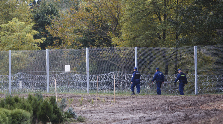 Hatalmas láttákkal és husángokkal is próbálkoznak a bevándorlók a Magyar határoknál / Fotó: MTI/ Varga György