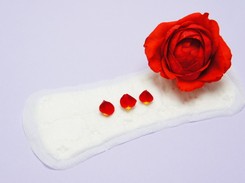 Parlament w Szkocji przyjął przełomową ustawę dotyczącą menstruacji