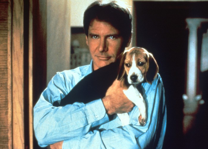 'Odnaleźć siebie' Mike'a Nicholsa z 1991 roku z Harrisonem Fordem i Annette Bening