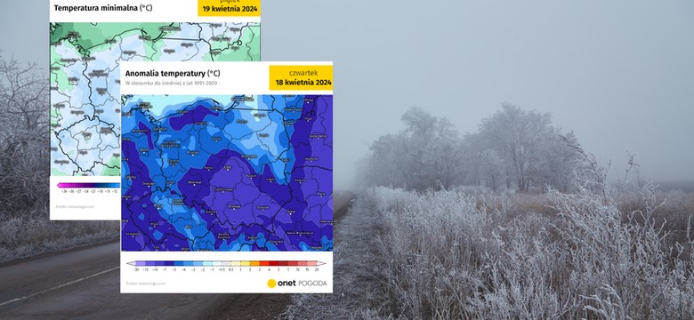 Dotkliwe przymrozki uderzą w Polskę. Możliwe spore straty
