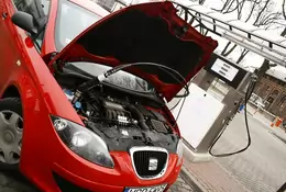 Seat Altea CNG: 16 zł za 100 km!