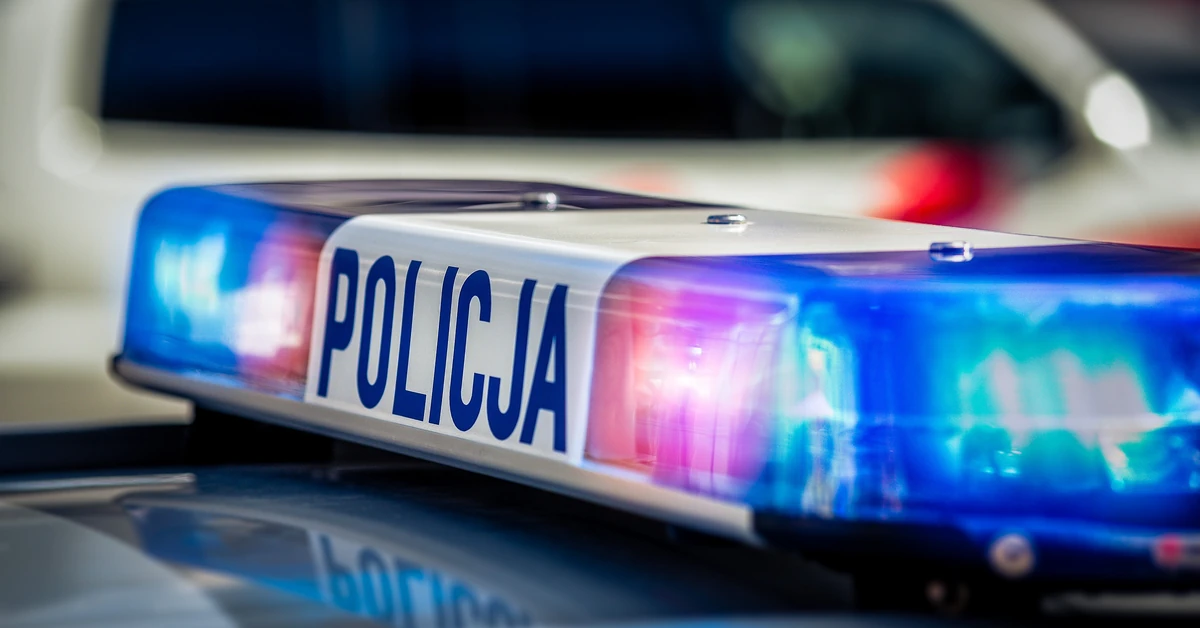 Policja zatrzymała kiboli. Atakowali przechodniów na ulicach Chorzowa