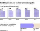 Polski rynek kinowy czeka w tym roku spadek