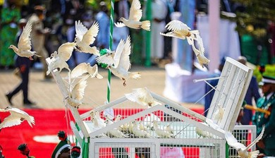 Read the funniest tweets as pigeons released by Buhari refuse to fly