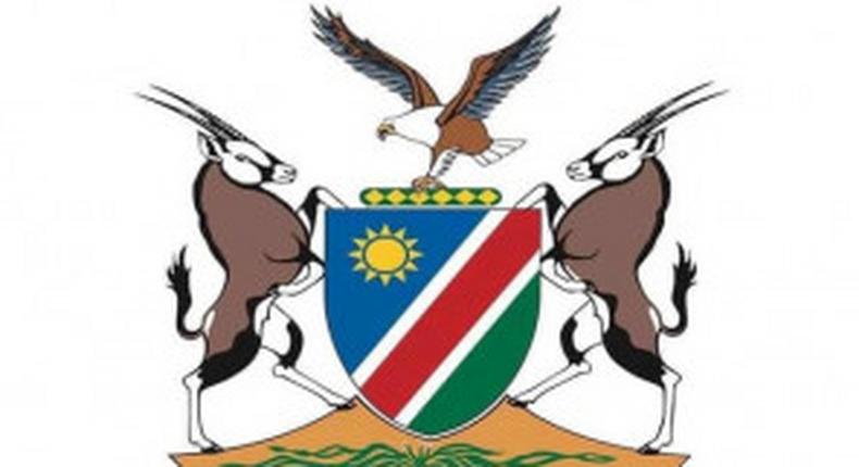 Ministry of Health and Social Services, Namibia