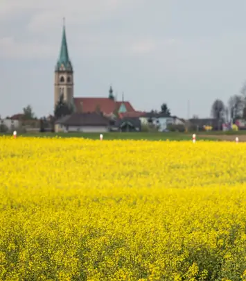 Będzie drugi oficjalny język regionalny w Polsce? Używa go kilkadziesiąt osób