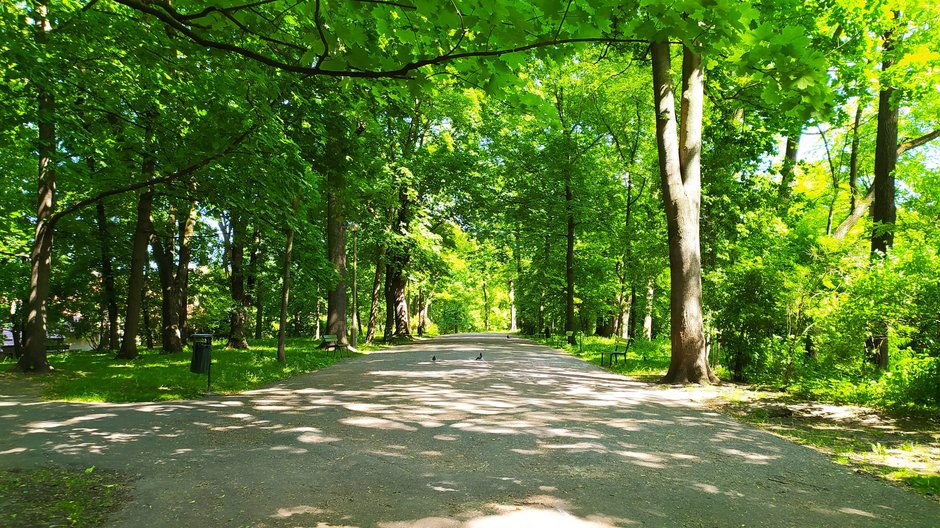 Park Bednarskiego w Krakowie.