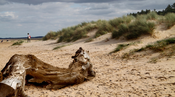 Az angliai Norfolk tengerparton találták meg a tetemet /Fotó:Northfoto