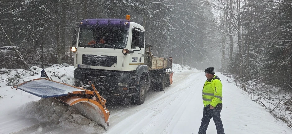 Sneg pada u Moravičkom i Zlatiborskom okrugu