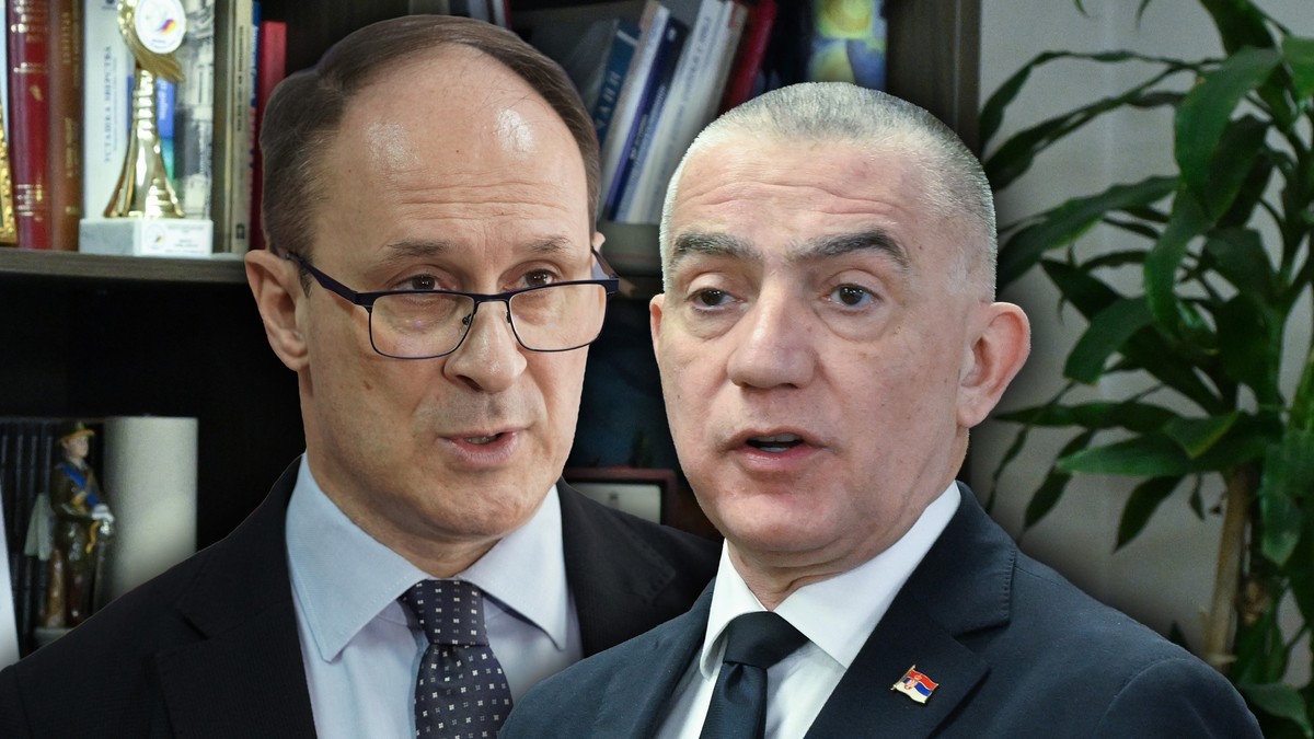 Vujić i Stamenković