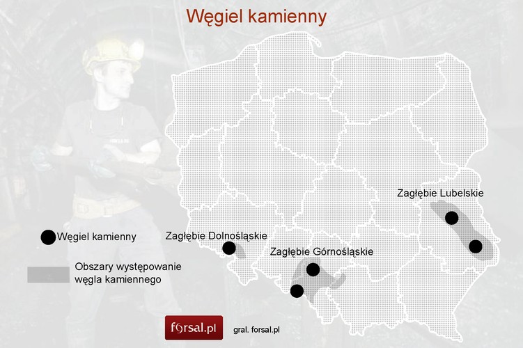 Węgiel kamienny. Polska w 2012 roku według danych Państwowego Instytutu Geologicznego   dysponowała zasobami węgla kamiennego na poziomie 48,2 mld ton, zaś wydobycie wyniosło 71,33 mln ton. Ilość ta sprawia, że to właśnie węgiel kamienny jest głównym surowcem energetycznym Polski. Pod względem geograficznym w naszym kraju można wyróżnić trzy zagłębia: Górnośląskie Zagłębie Węglowe (GZW), Lubelskie Zagłębie Węglowe (LZW) oraz Dolnośląskie Zagłębie Węglowe (DZW). W ostatnim z nich w 2000 roku zaniechano wydobycia ze względu na trudne warunki geologiczno-górnicze. Większość czynnych kopalń zlokalizowana jest na terenie GZW, w LZW działa jedna kopalnia – Bogdanka