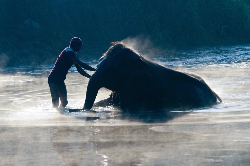 NEPAL ELEPHANT FOOTBAL