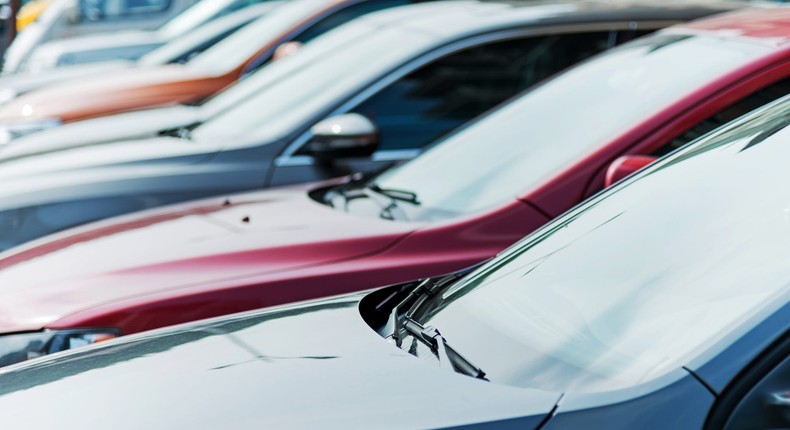 Two strays caused thousands in damages at a car dealership.Baona/Getty Images