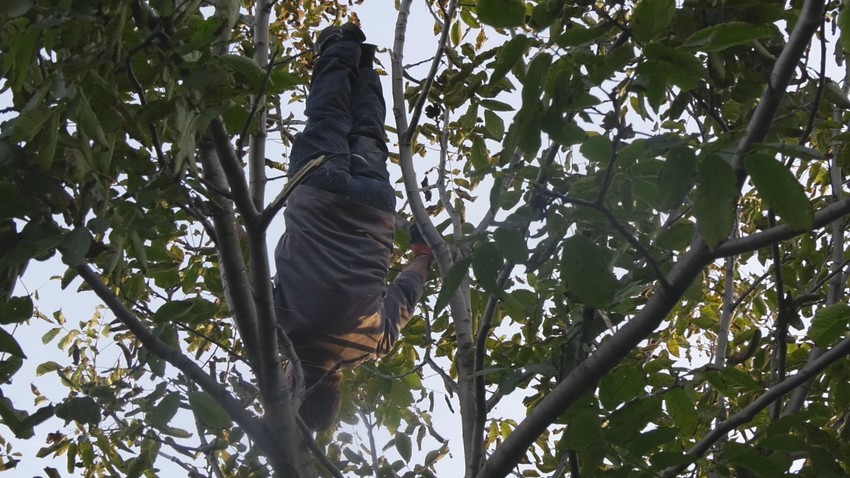 Mića Akrobata iz sela Sikirica kod Paraćina