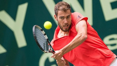 tenis, janowicz, jerzy, wibledon