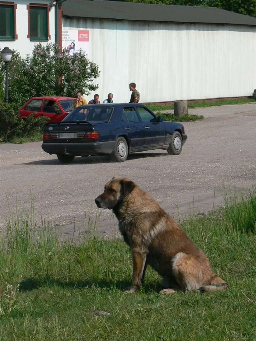 Pan wyrzucił mnie przy torach