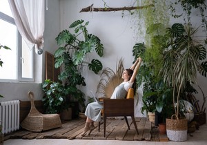 Stručnjak otkriva jednostavne trikove za lenje ljubitelje biljaka