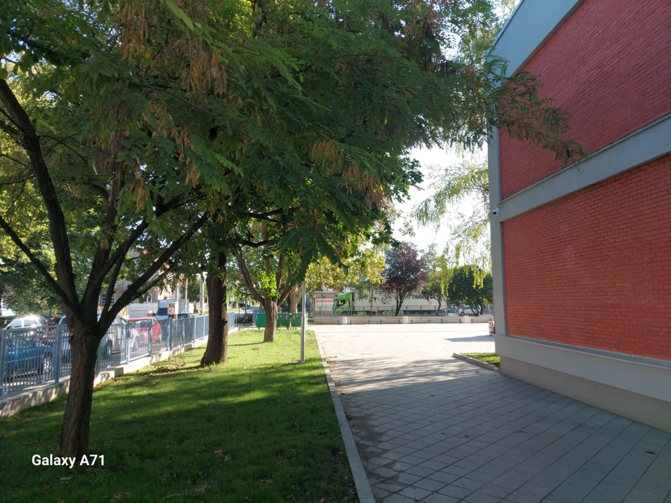 "Svetislav Golubović Mitraljeta"