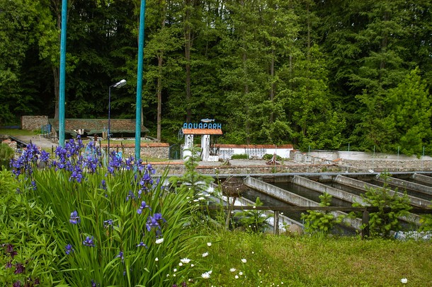 Krępsko nad Rurzycą to także tereny rekreacyjne ze stawami pełnymi pstrągów i domkiem letniskowym dla rodzin seniorów.