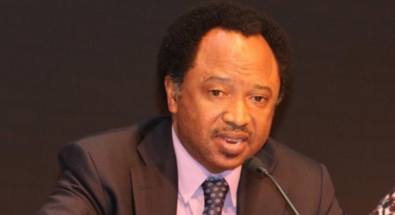 Senator Shehu Sani.