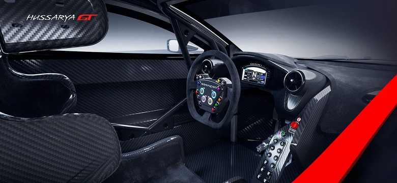 Arrinera Hussarya gt