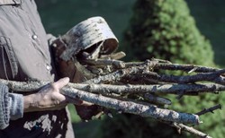 Chrust, węgiel i papierosy… Oto przedmioty mrocznego pożądania [OPINIA]