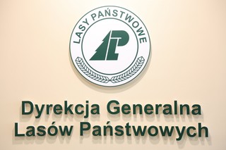 Miliony dla parafii polityków i swoich mediów. Są wstępne wyniki audytu w Lasach Państwowych
