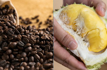 Kawa przegrała z durianami. Zbiory spadły, ceny wystrzeliły