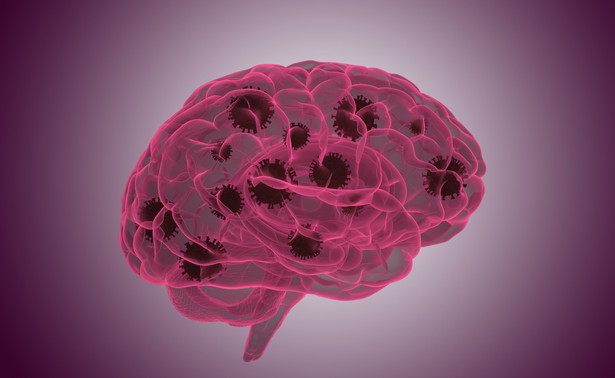 Koronawirus w mózgu