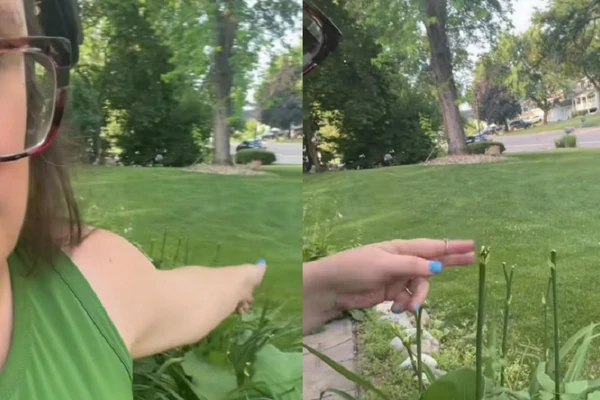 Optužila KOMŠIJE da joj uništavaju cveće u dvorištu: Ljudi odmah shvatili KO JE KRIV kada su OVO VIDELI, priča je postala još čudnija, a ona kipti od besa