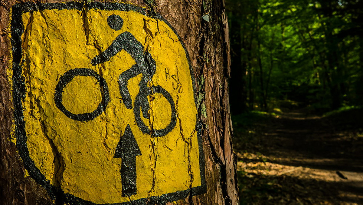 Szlaki rowerowe na terenie gminy Stawiguda zostaną połączone, dokładnie oznakowane i zmodernizowane.