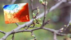 Nagły zwrot w pogodzie. Nadchodzi fala ciepłego powietrza i wiosenne słońce. Termometry wystrzelą w górę