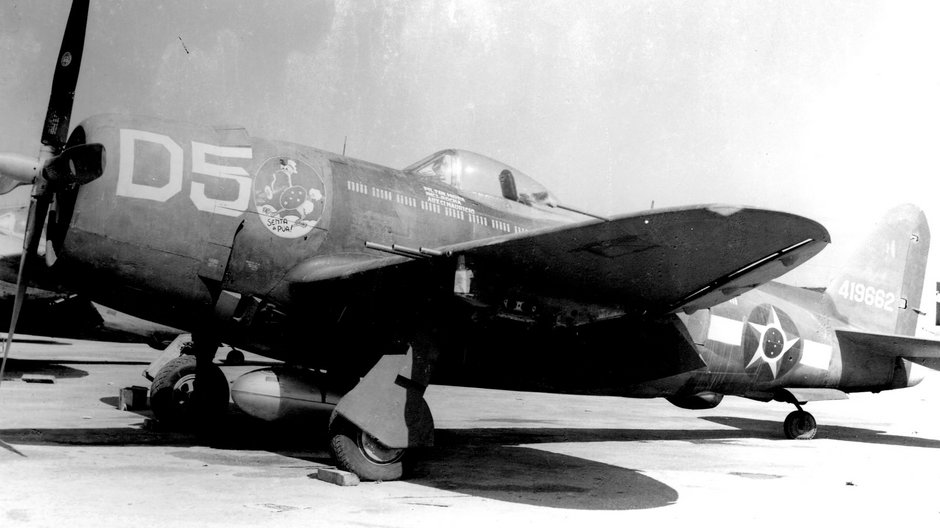 Uzbrojeniem brazylijskiej 1. Grupy Myśliwskiej były amerykańskie samoloty Republic P-47 Thunderbolt.