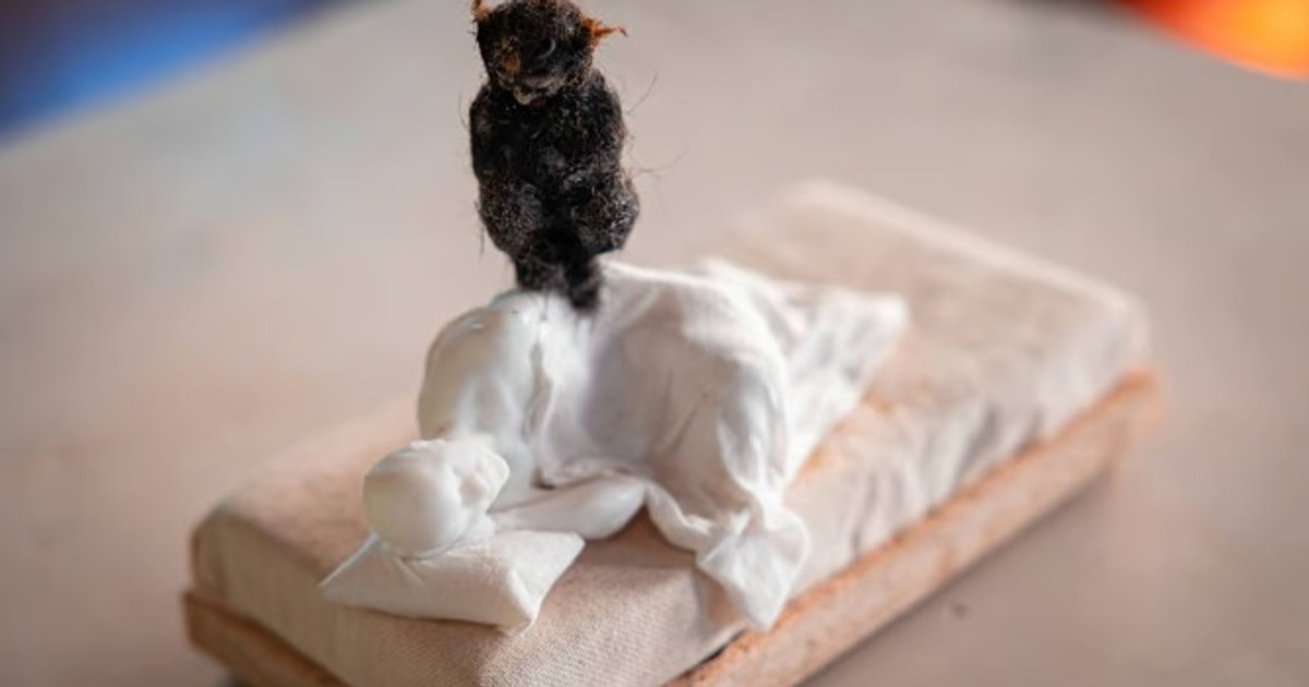 Żyjnia znów otwarta i zgodna z cyklami natury. Plac zabaw wyobraźni