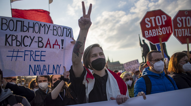 Az Európa Tanács Parlamenti Közgyűlése az ellenzéki politikus szabadon bocsátására szólított fel / Fotó: MTI / Martin Divisek