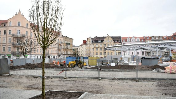 Rynek Łazarski w Poznaniu: nasadzono nowe drzewa i krzewy!