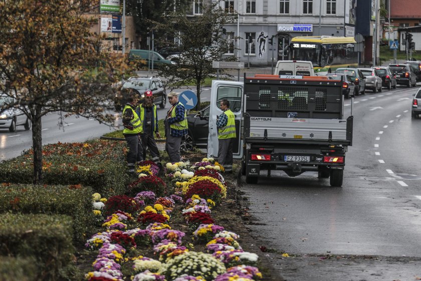 Zrobią to z tysiącami niesprzedanych kwiatów z cmentarzy. "Coś jakby dywan"