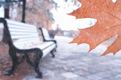 Ile będzie stopni? Prognoza pogody na wtorek, 28 października