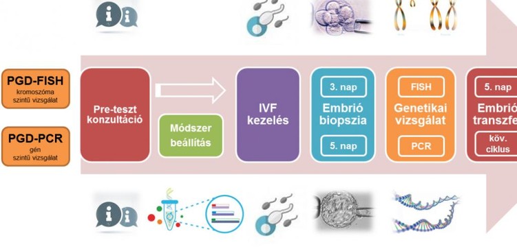genetikai_teszt