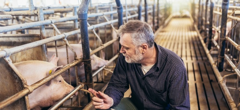 "AgroKluby Platformy". Tak PO chce pozyskać rolników