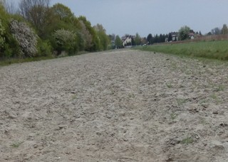 TSUE: Pośrednik pomaga w sprzedaży gruntu? Czas zapłacić VAT