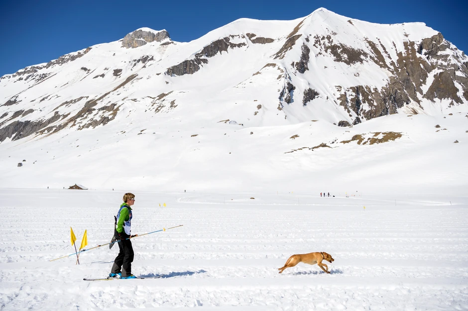 Spasavanje iz lavine u Švajcarskoj