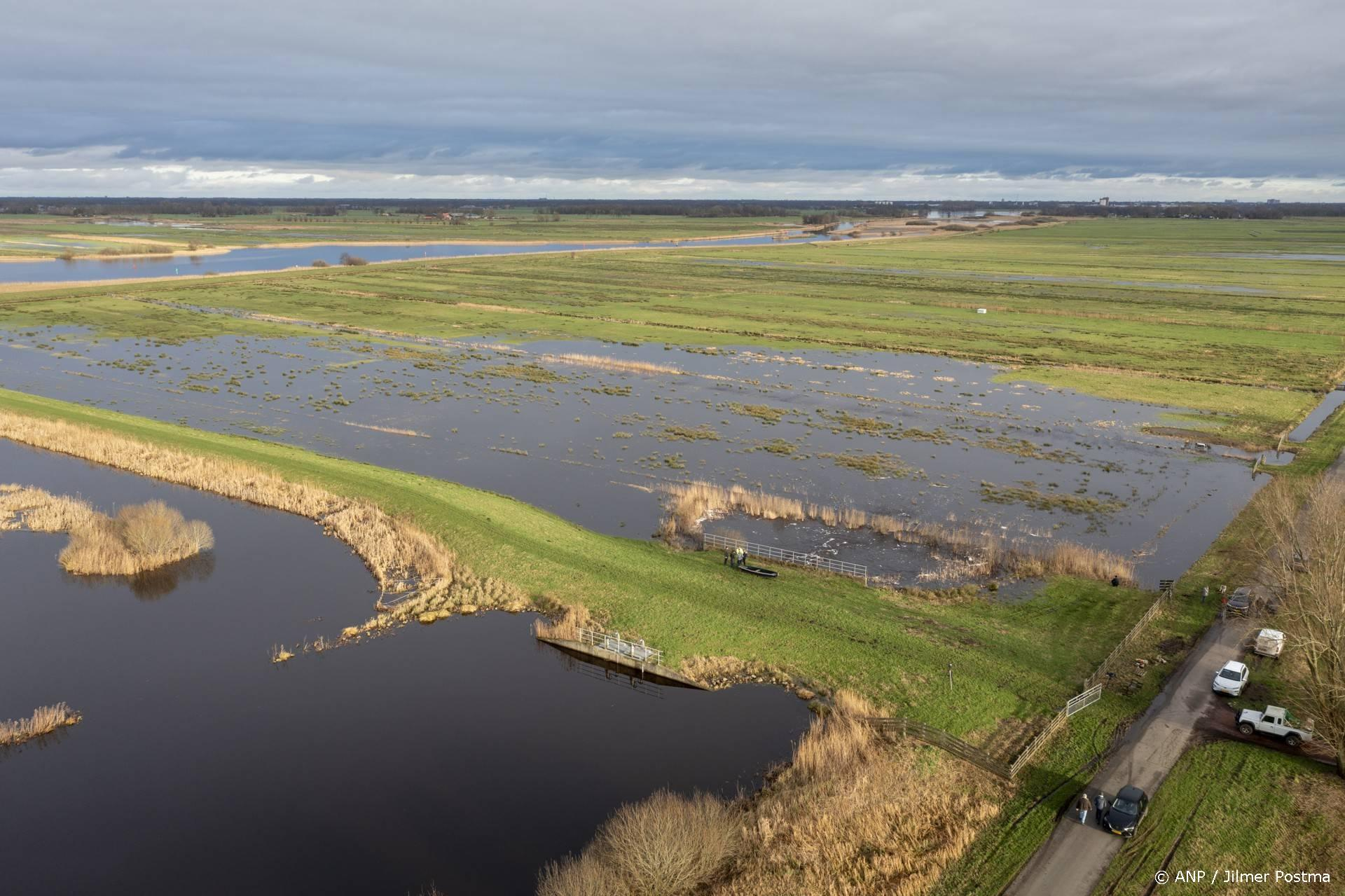 Muskusratten bedreigen de dijken: bijna 85.000 gevangen, 25% meer dan 2024