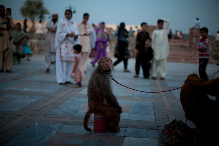 Życie w slumsach Islamabadu