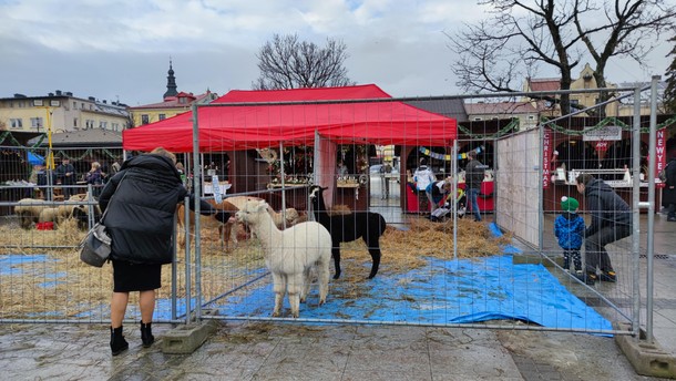 Rynek świąteczny w Nowym Targu