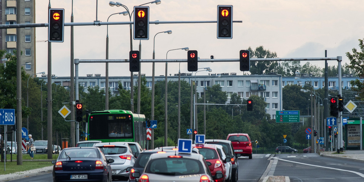 "Zielona fala" w Poznaniu. Jest, czy jej nie ma?