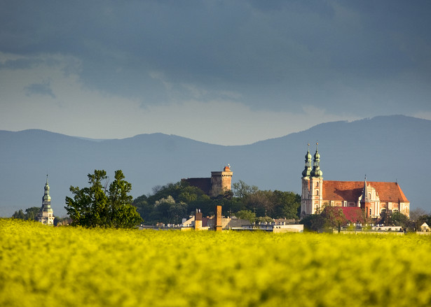 Zabytki i muzealne zbiory na Opolszczyźnie